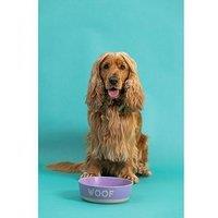 Mason Cash Set Of 2 Woof 20Cm Bowls