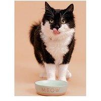 Mason Cash Set Of 2 Meow 13Cm Bowls