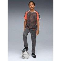 Puma Junior Individual Liga Graphic Jersey - Red