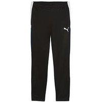 Puma Mens Individual Liga Training Pant - Black