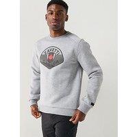 Zavetti Canada Botticini Classic Large Logo Crew Sweatshirt - Grey