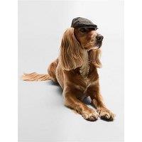 Barbour Dog Wax Flat Cap - Green