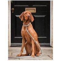 Lords And Labradors Ostrich Leather Collar Grey - Large