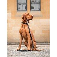 Lords And Labradors Italian Leather Collar Black & Grey - Extra Small