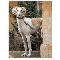 Lords And Labradors Italian Leather Lead Brown & Cream - Small