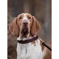 Lords And Labradors Italian Leather Collar Brown & Red - Extra Small