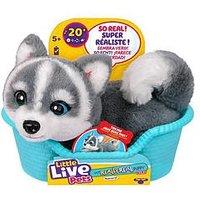 Little Live Pets My Really Real Puppy Minis - Aurora
