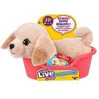Little Live Pets My Really Real Puppy Minis - Buddy