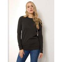Long Tall Sally Tall Crew Neck Jumper - Brown
