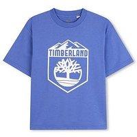 Timberland Boys Logo Print Short Sleeve T-Shirt - Blue