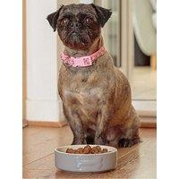 Mason Cash Colour Mix Set Of 2 Dog Bowls - 20Cm