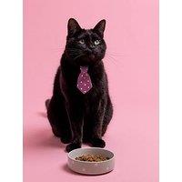 Mason Cash Polka Dot Sage Set Of 2 Pet Bowls - 13Cm