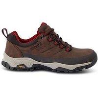 Regatta Womens Blake Low Walking Shoes - Brown