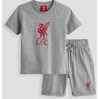 Liverpool Fc Jnr T-Shirt And Shorts Set - Grey