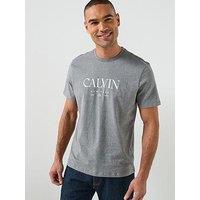 Calvin Klein 20S Graphic T-Shirt - Grey
