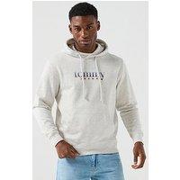 Tommy Jeans Regular Fit Entry Play Pullover Hoodie - Light Grey