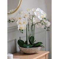 Gallery Direct Oversized Orchid In Cement Pot White