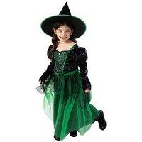 Wicked Green Witch Costume