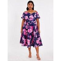 Quiz Curve Navy Floral Skater Dress