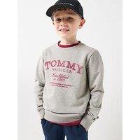 Tommy Hilfiger Boys Faded Print Sweatshirt - Grey