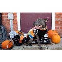 Rosewood Halloween Roll Neck Jumper - Small