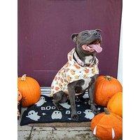 Rosewood Halloween Packaway Jacket Small - Large