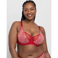 Dorina Erinnon Padded Wired Bra - Red