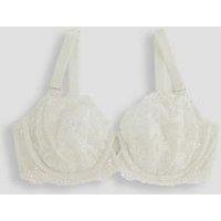 Dorina Yelenanon Padded Wired Bra - Ivory