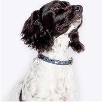 Fatface Marching Dogs Collar - Medium