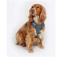 Fatface Marching Dogs Harness - Large