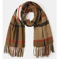 Accessorize Check Print Scarf - Brown