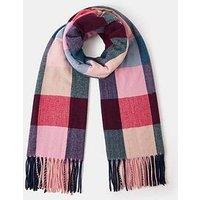 Accessorize Cady Check Blanket - Multi