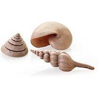 Biorb Sea Shells Set Natural