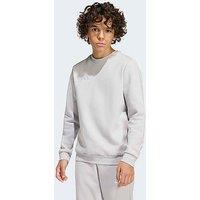 Adidas Junior Football Entrada 26 Sweat Top - Grey