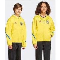 Adidas Junior Entrada 26 T-Shirt - Yellow
