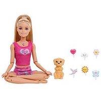 Barbie Mindful Moves Doll And Accessories