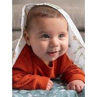 Aden + Anais Essential Cotton Muslin 2 Pack Swaddle Blanket - Dino Jungle