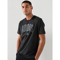 Adidas Sportswear Men'S Collegiate Lineage Graphic T-Shirt - Black