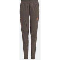 Adidas Sportswear Junior Boys Boys Hooded Tech Woven Pants - Green