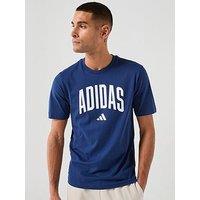 Adidas Sportswear Men'S Collegiate Lineage Graphic T-Shirt - Blue