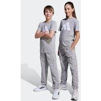Adidas Sportswear Junior Unisex Essentials Cargo Pants - Grey