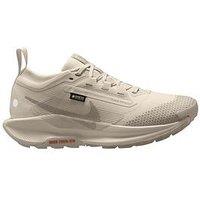 Nike Womens Trail Running Pegasus 5 Gore-Tex Trainers - Cream