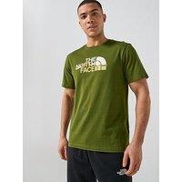 The North Face Mens Mountain Line T-Shirt - Green