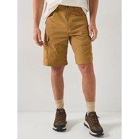 The North Face Mens Exploration Cargo Shorts - Brown