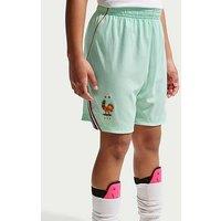 Nike Older Kids France 2026 Dri-Fit Stadium Away Shorts - Green