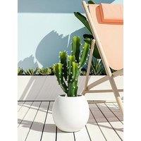 The Very Collection Palma Round Planter 30Cm