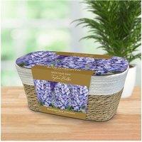You Garden Large Blue Hyacinth Indoor Basket