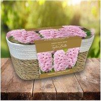 You Garden Large Pink Hyacinth Indoor Basket