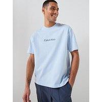 Calvin Klein Relaxed Fit Central Logo T-Shirt - Blue
