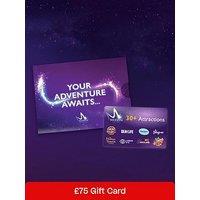 Virgin Experience Days &Pound;75 Merlin Attractions Gift Card
